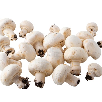 Шампиньоны свежие 500 г - купить в Нюхче